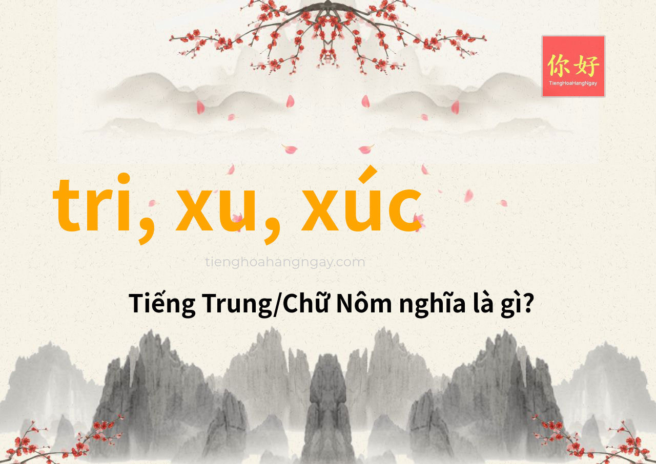 tri, xu, xúc tiếng Trung là gì?